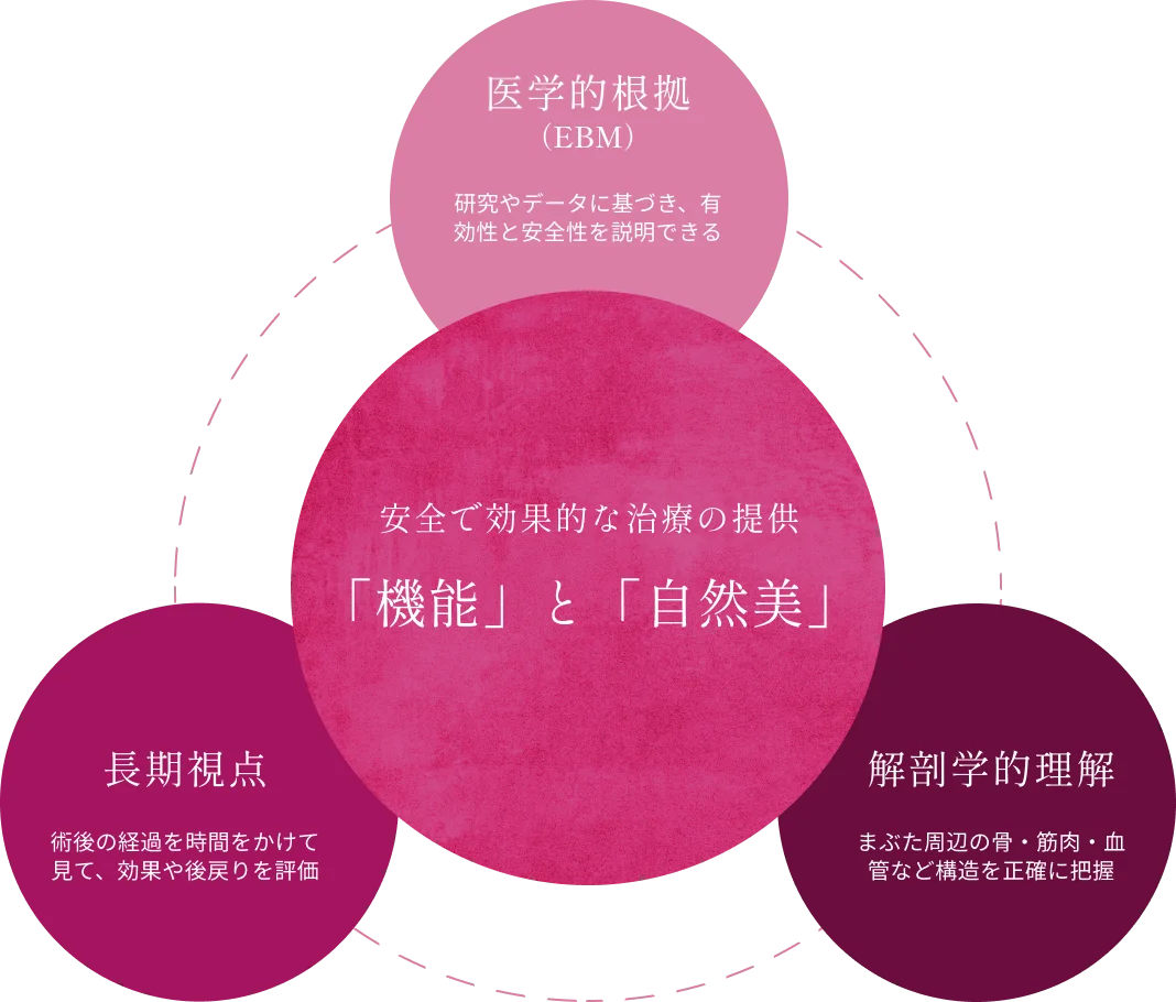 安全で効果的な治療の提供「機能」と「自然美」。医学的根拠（EBM）＝研究やデータに基づき、有効性と安全性を説明できる。解剖学的理解＝まぶた周辺の骨・筋肉・血管など構造を正確に把握。長期視点＝術後の経過を時間をかけて見て、効果や後戻りを評価